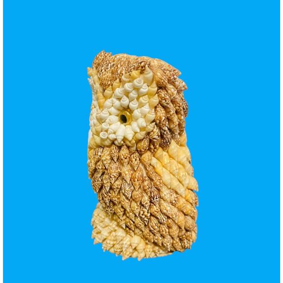 Vintage Sea Shell Owl Beach Art Figurine Google Eyes Ocean Kitchy MCM 5” - Picture 6 of 8